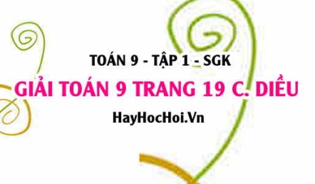 Giải Toán 9 trang 19 tập 1 Cánh Diều